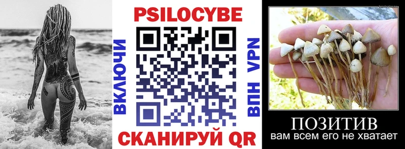 закладка Юрюзань Псилоцибиновые грибы GOLDEN TEACHER